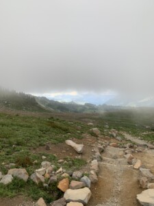 Mount Rainier National Park