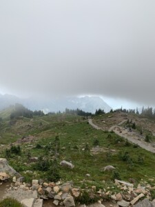 Mount Rainier National Park