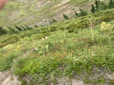 Mount Rainier National Park
