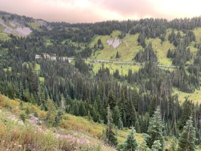 Mount Rainier National Park