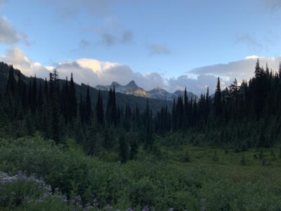 Mount Rainier National Park