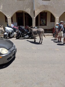 Oatman Oatman