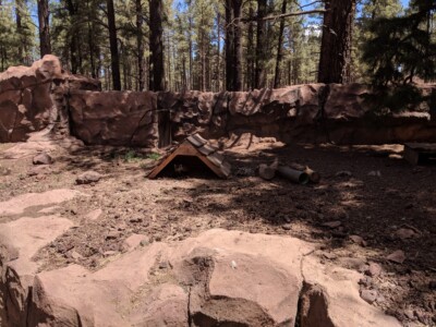 Bearizona Wildlife Park Bearizona Wildlife Park