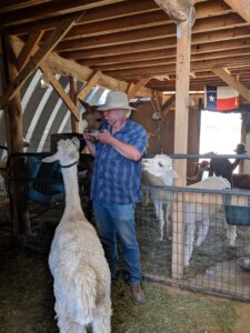 Alpacas of the Southwest Alpacas of the Southwest