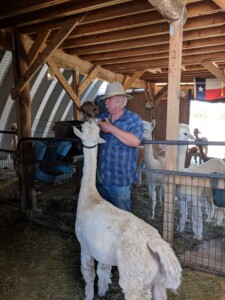 Alpacas of the Southwest Alpacas of the Southwest