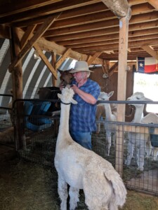 Alpacas of the Southwest Alpacas of the Southwest