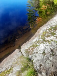 Moose Pond 2022 Moose Pond 2022