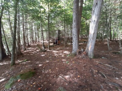 Moose Pond 2022 Moose Pond 2022