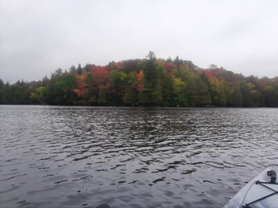 Moose Pond 2022 Moose Pond 2022