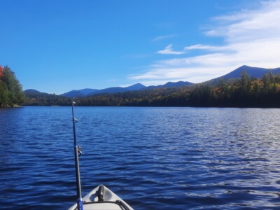 Moose Pond 2022 Moose Pond 2022