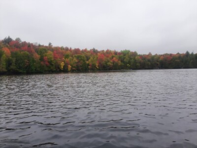 Moose Pond 2022 Moose Pond 2022