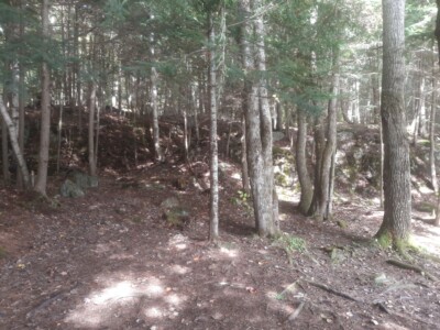 Moose Pond 2022 Moose Pond 2022
