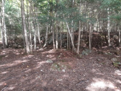Moose Pond 2022 Moose Pond 2022