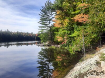 Moose Pond 2022 Moose Pond 2022