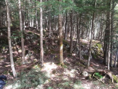 Moose Pond 2022 Moose Pond 2022