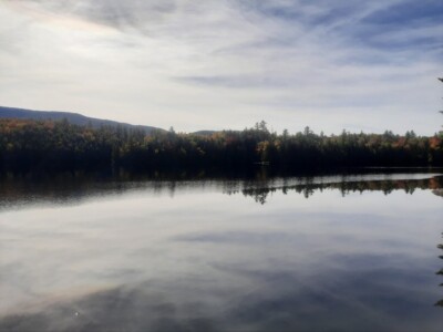 Moose Pond 2022 Moose Pond 2022