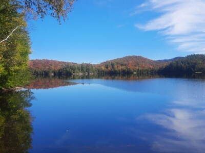 Moose Pond 2022 Moose Pond 2022
