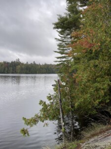 Moose Pond 2022 Moose Pond 2022