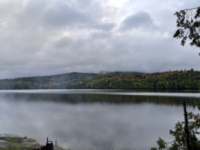 Moose Pond 2022 Moose Pond 2022