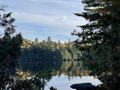 Moose Pond 2022 Moose Pond 2022