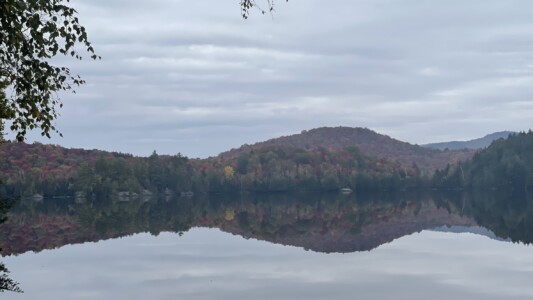 Moose Pond 2023 Moose Pond 2023