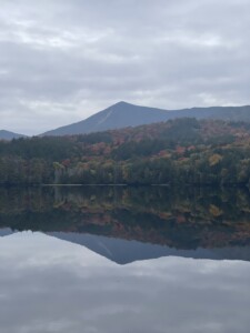 Moose Pond 2023 Moose Pond 2023