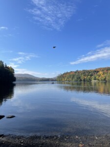 Moose Pond 2023 Moose Pond 2023