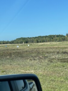Moose Pond 2023 Moose Pond 2023
