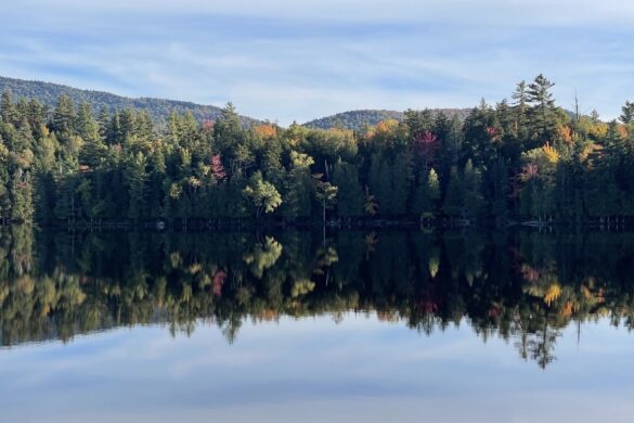 Moose Pond 2022