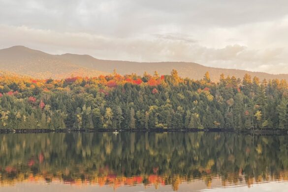 Moose Pond 2023